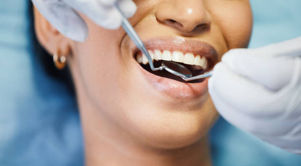 Best Emergency Dental Services for Seniors in Mayville, MI